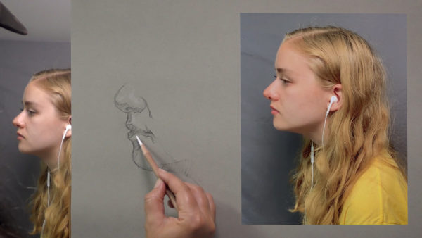 ONLINE Fundamentals of Portrait Drawing: Part I