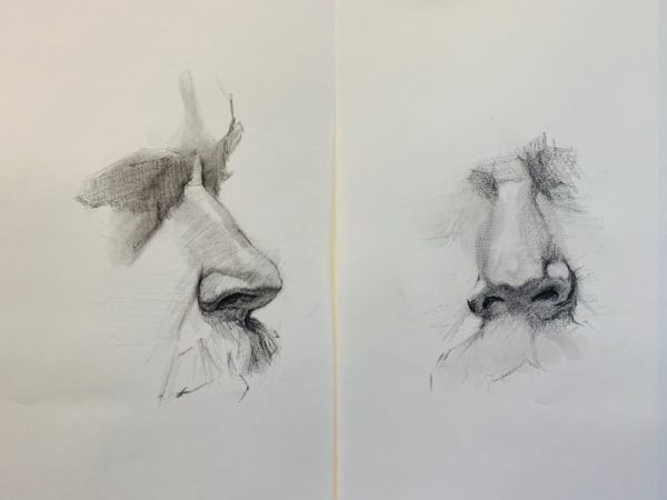 ONLINE Fundamentals of Portrait Drawing: Part I - Image 3